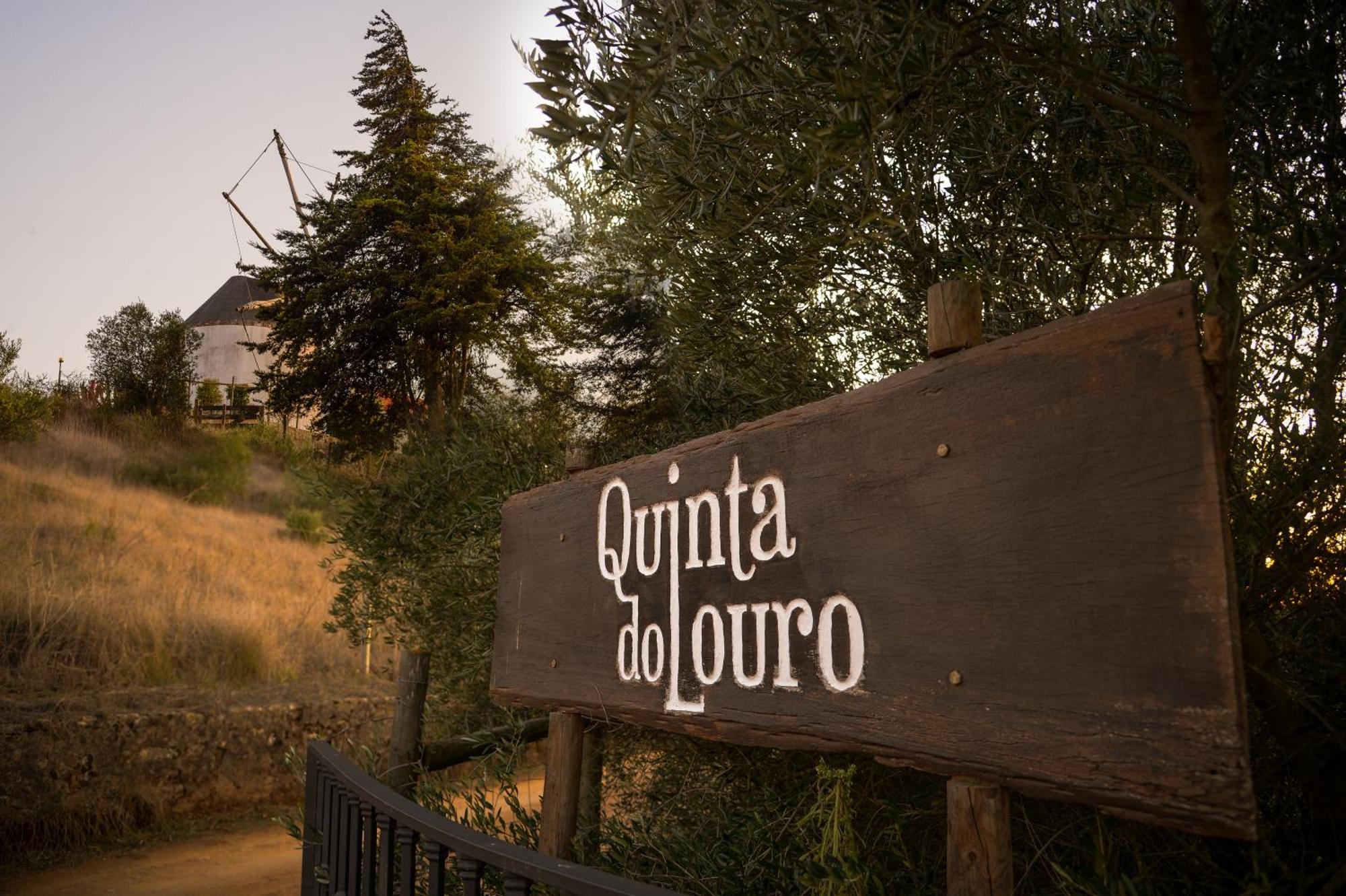 パルメラ Quinta Do Louroゲストハウス エクステリア 写真