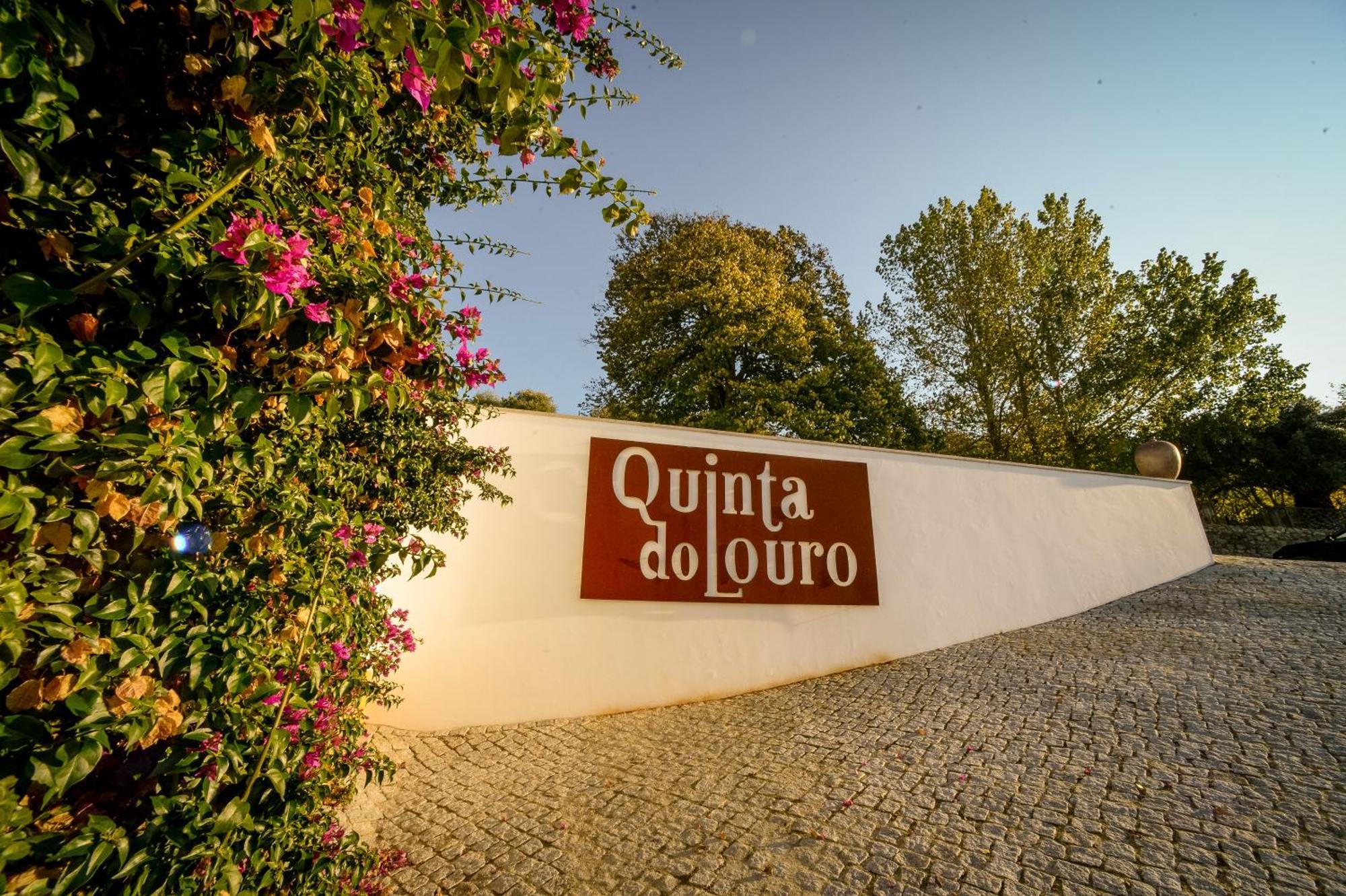 パルメラ Quinta Do Louroゲストハウス エクステリア 写真